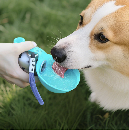 Portable Pet Water Dispenser Stainless Steel