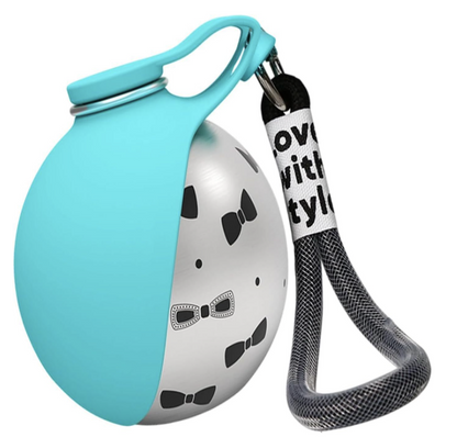 Portable Pet Water Dispenser Stainless Steel